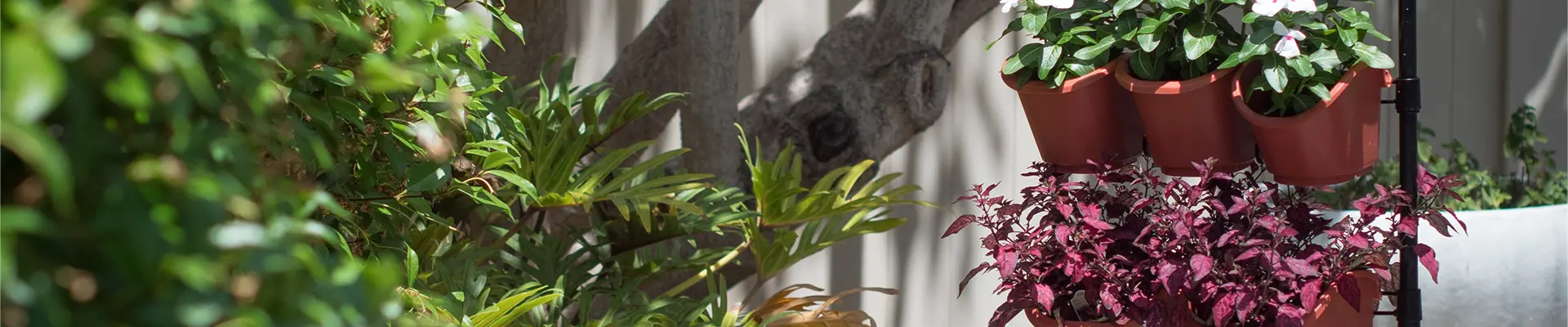 Taman Menegak Eco Gardening