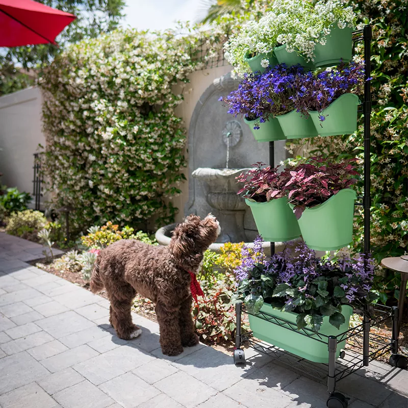 Bingkai Berkembar Dinding Hijau Mudah Alih Logam
